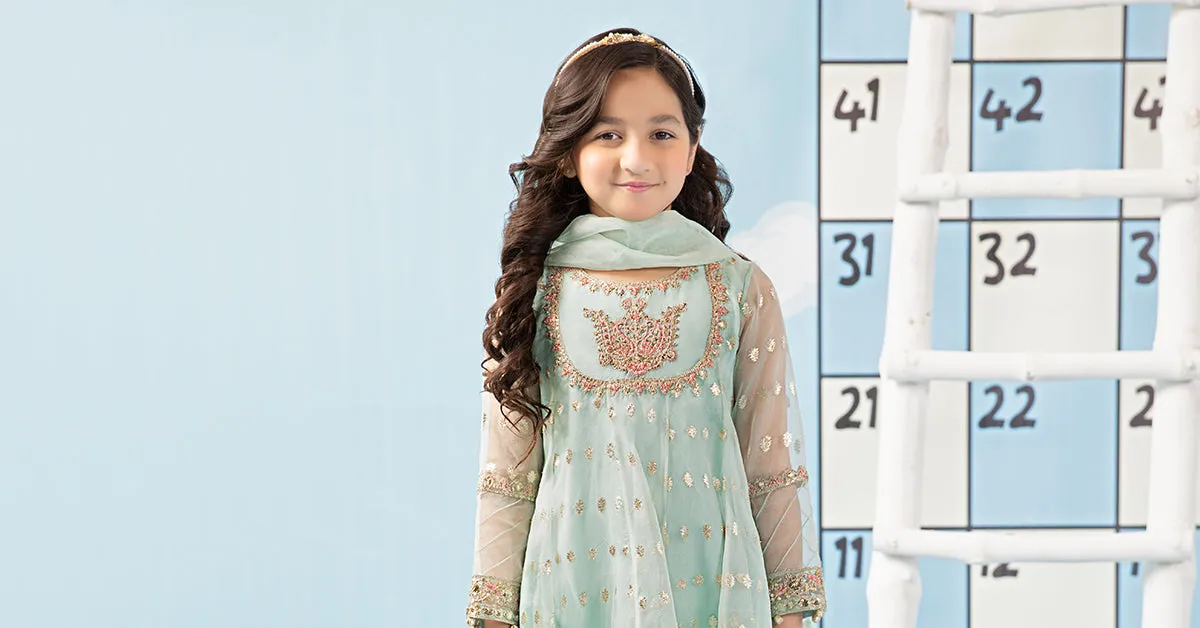 3 Piece Embroidered Organza Suit | MKS-PF24-04