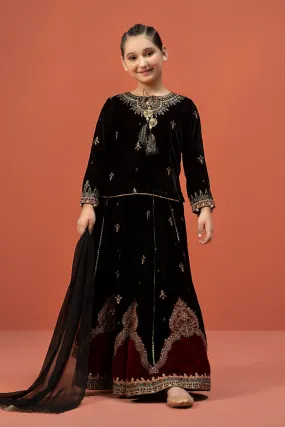 3 Piece Embroidered Velvet Suit | MKS-W24-14