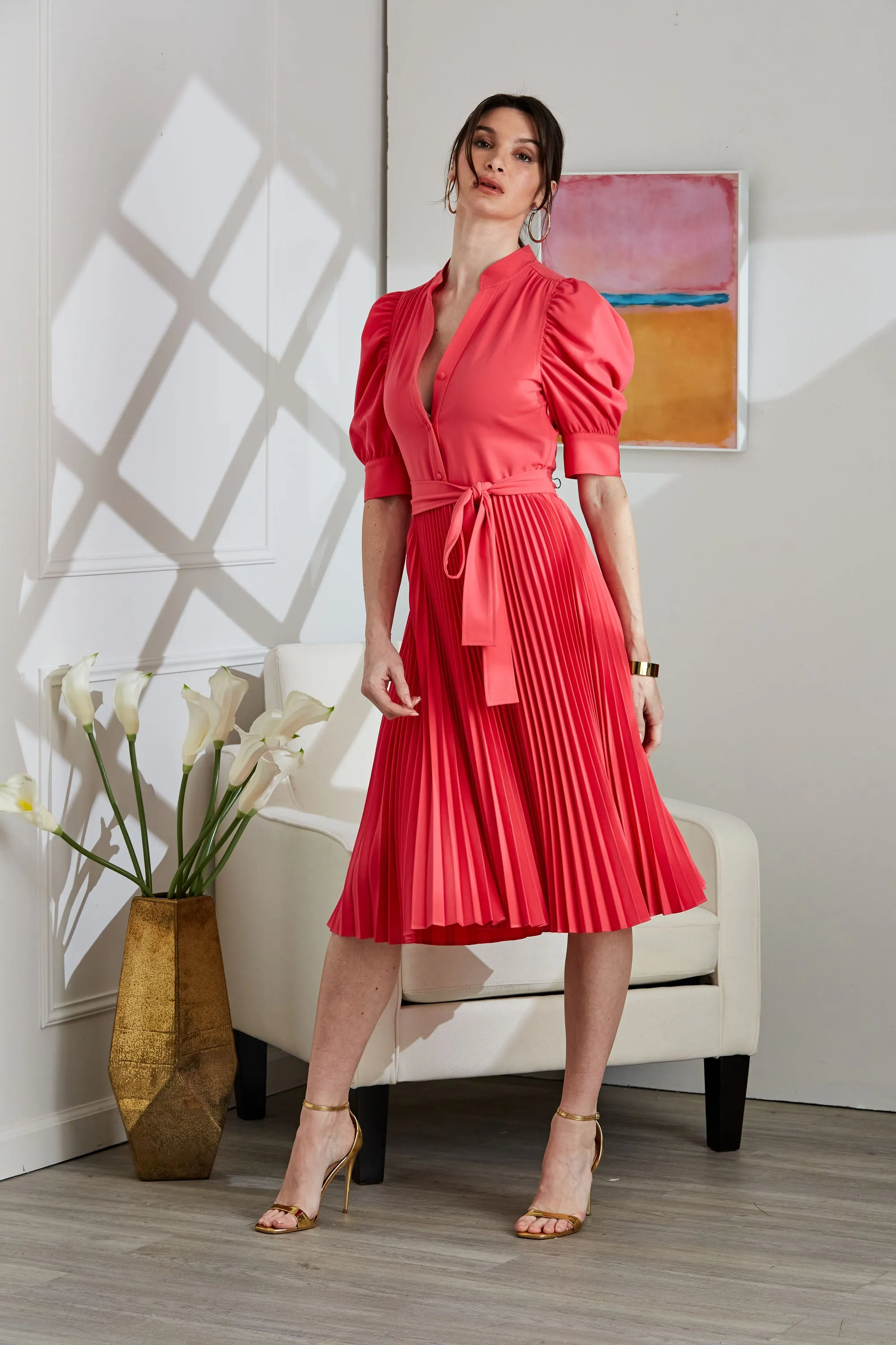 Pleated Ruched Sleeve Dress