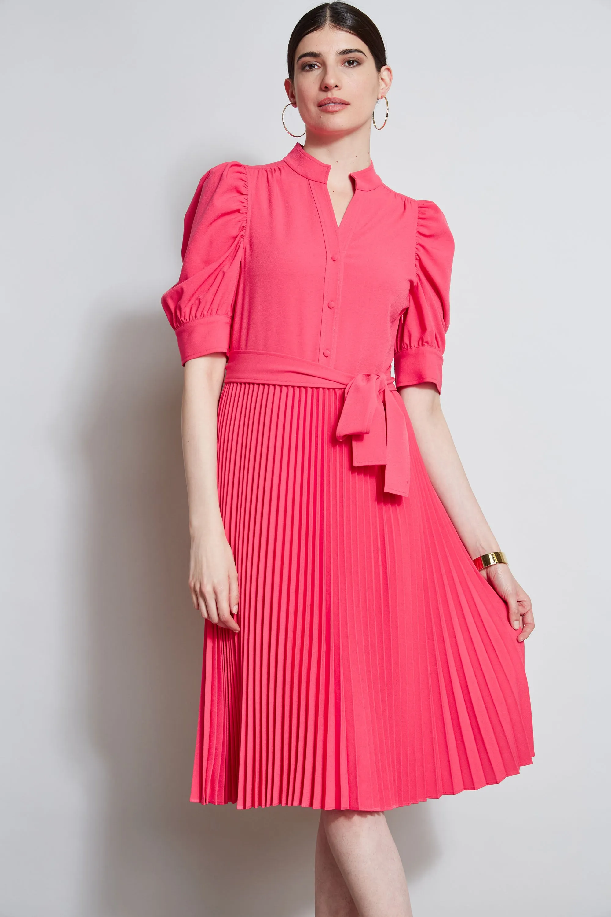 Pleated Ruched Sleeve Dress