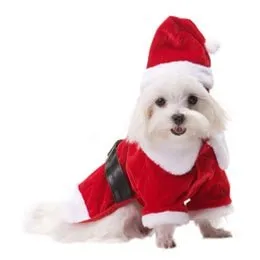 Santa Paws Coat